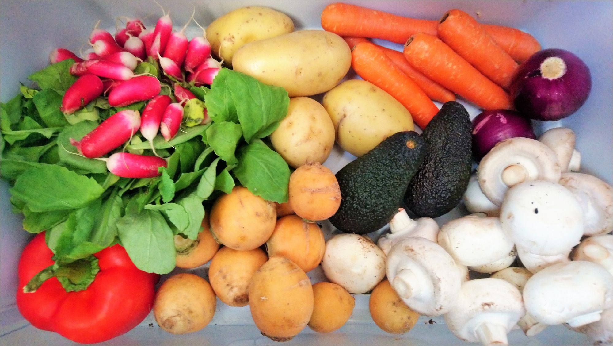 Voici les 5 légumes qui se conservent le mieux au frigo