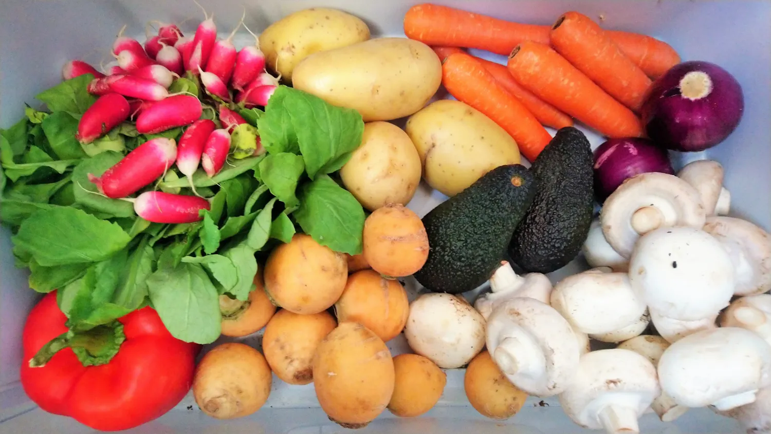 Voici les 5 légumes qui se conservent le mieux au frigo