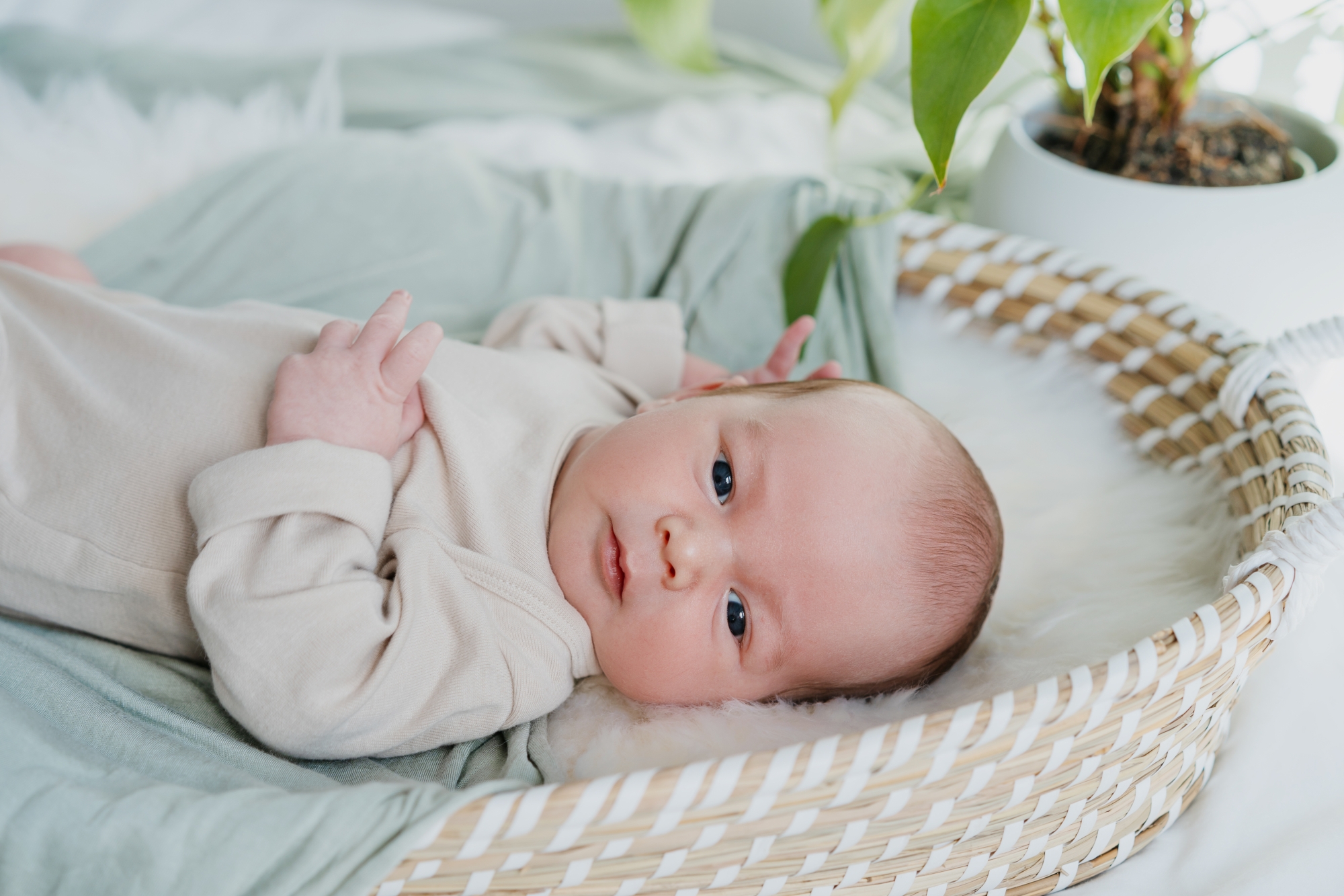 PFAS : comment ces polluants peuvent altérer le visage des nouveau-nés