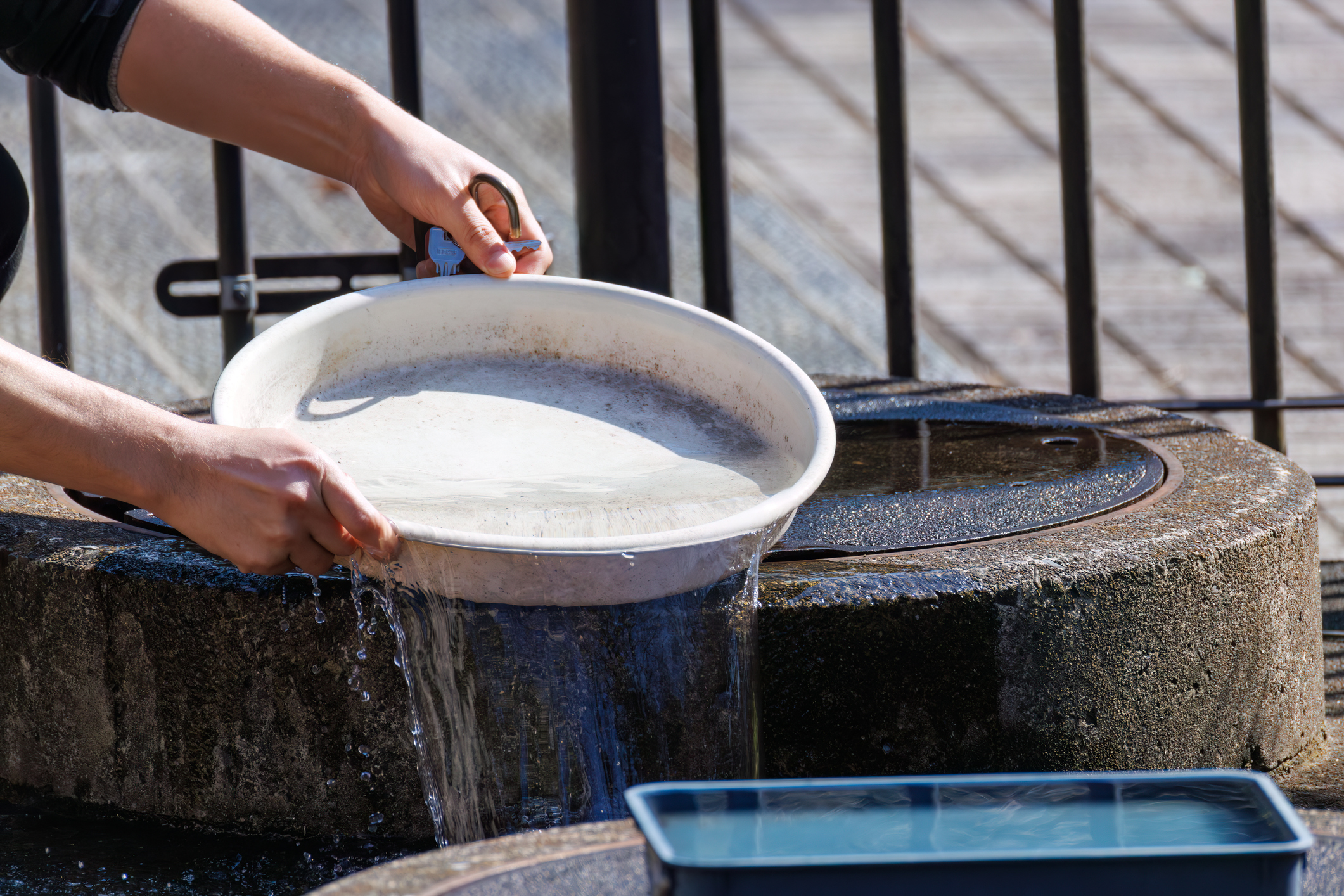 Moustique tigre : pourquoi la lutte contre sa prolifération commence dès maintenant