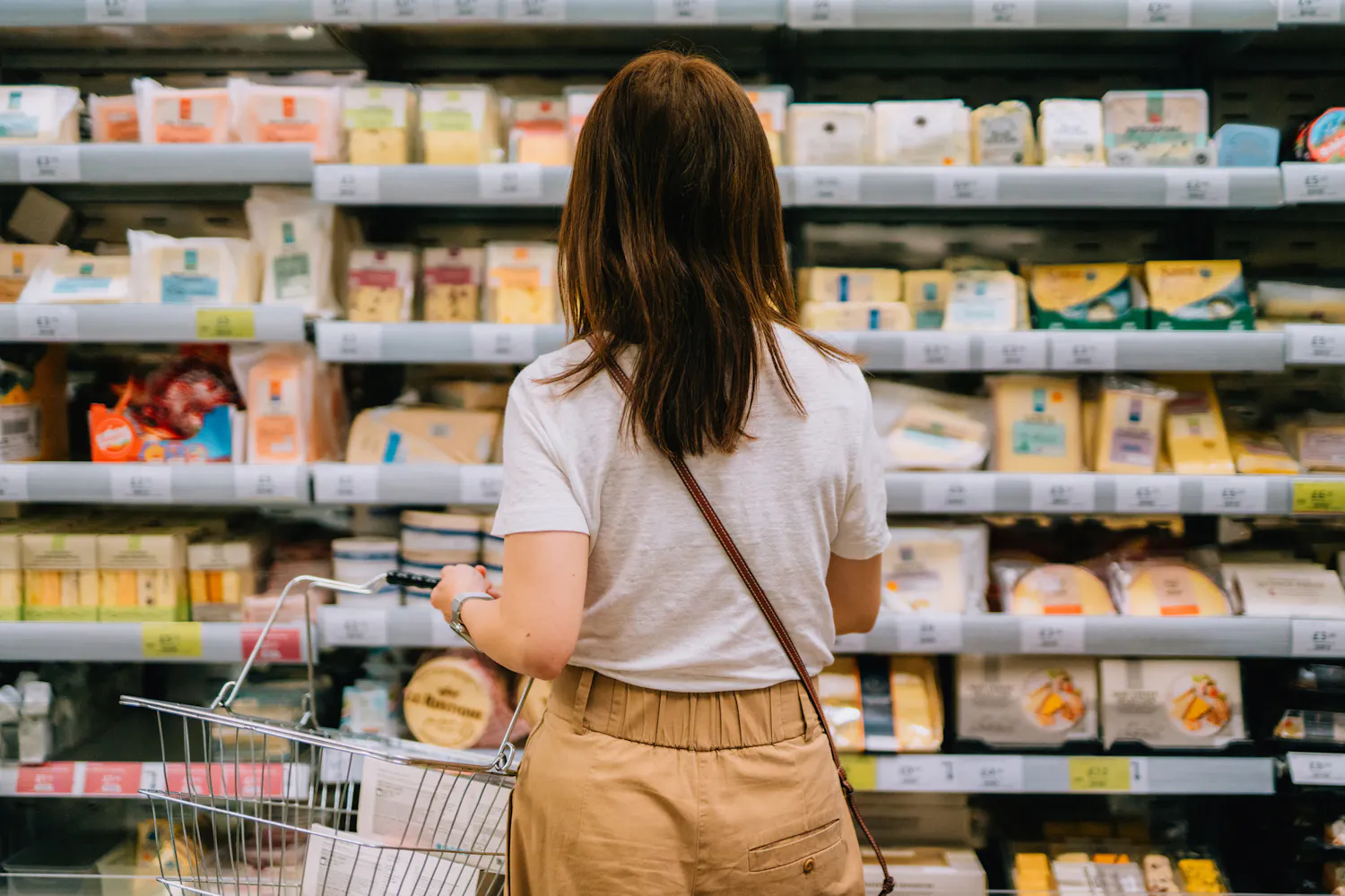 Quels fromages choisir pour prendre soin de son microbiote ?