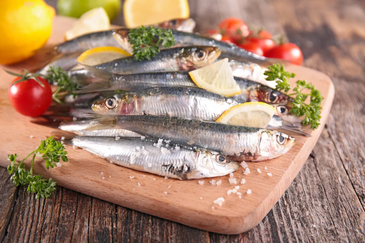 Peut-on manger de la sardine quand on a du cholestérol ?