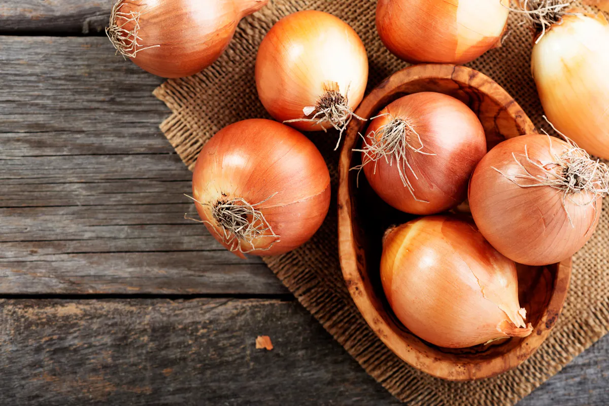 Peut-on manger des oignons quand on a du cholestérol ?