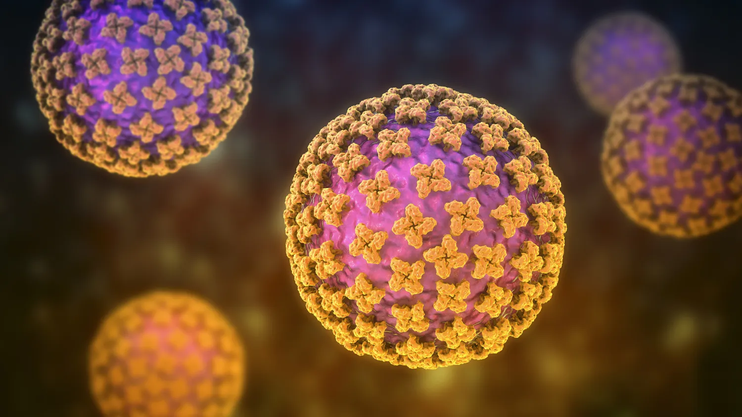 Hantavirus : la ministre de la Santé écarte le scénario d'une « circulation diffuse »