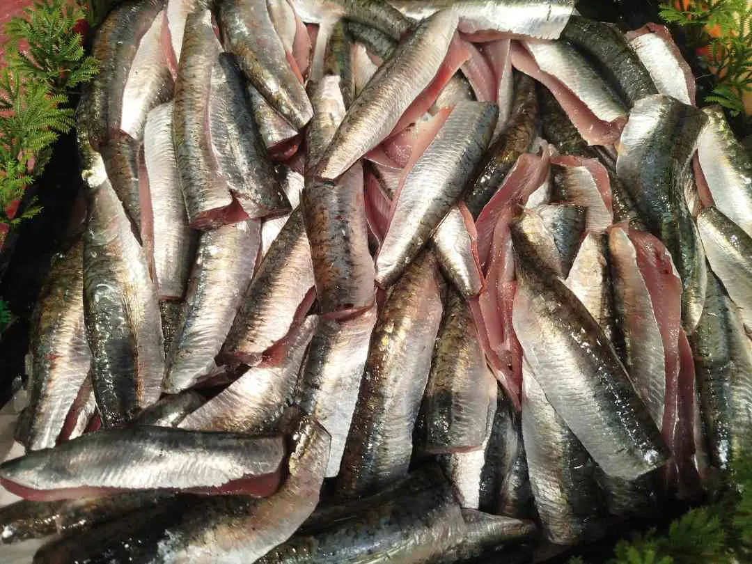 Des sardines rappelées dans toute la France à cause de la présence d'histamine, quel risque santé ?