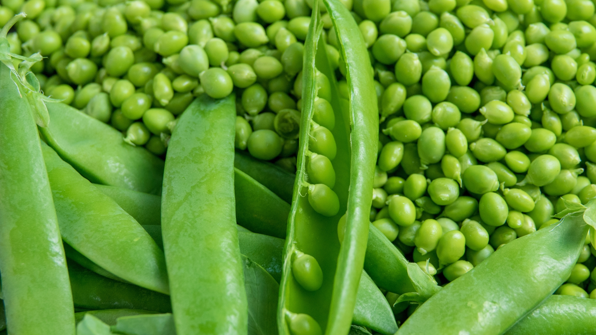 Doit-on manger des petits pois quand on a du cholestérol ?