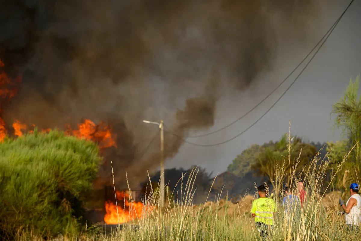 Feux de forêt, incendies : quels risques pour la santé ? La réponse d'un médecin pneumologue