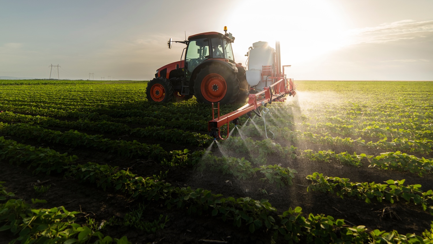 Près de la moitié des agriculteurs du monde sont empoisonnés par les pesticides chaque année