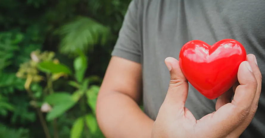 Personne tenant un cœur rouge en plein air, symbolisant la santé cardiovasculaire