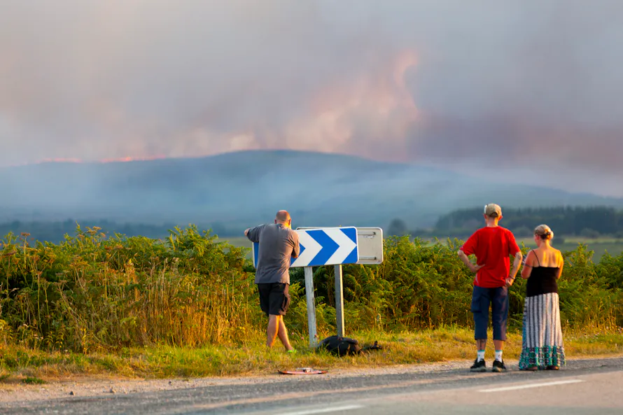 Trois personnes observent un incendie de forêt à distance, avec un panneau routier au premier plan.