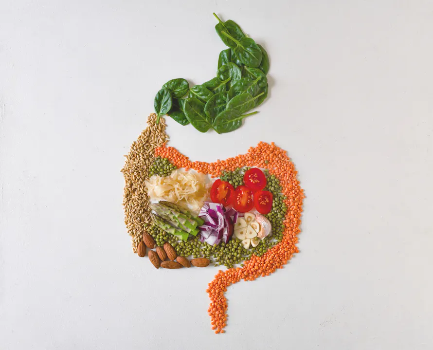 Illustration d'un estomac avec des aliments sains comme des légumes, des légumineuses et des noix.