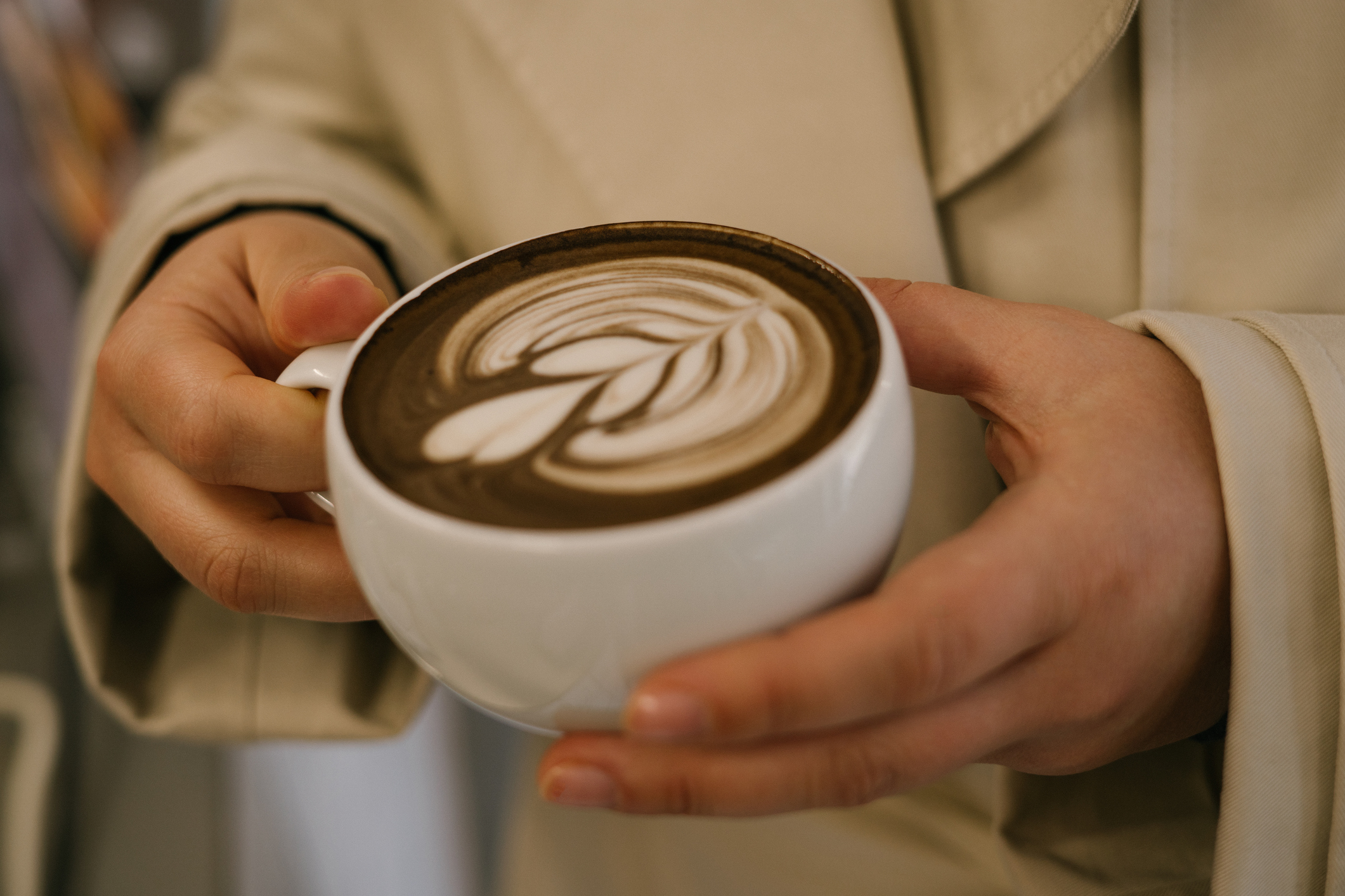 Hojicha : caféine, antioxydants, digestion… Quels sont ses bienfaits ?