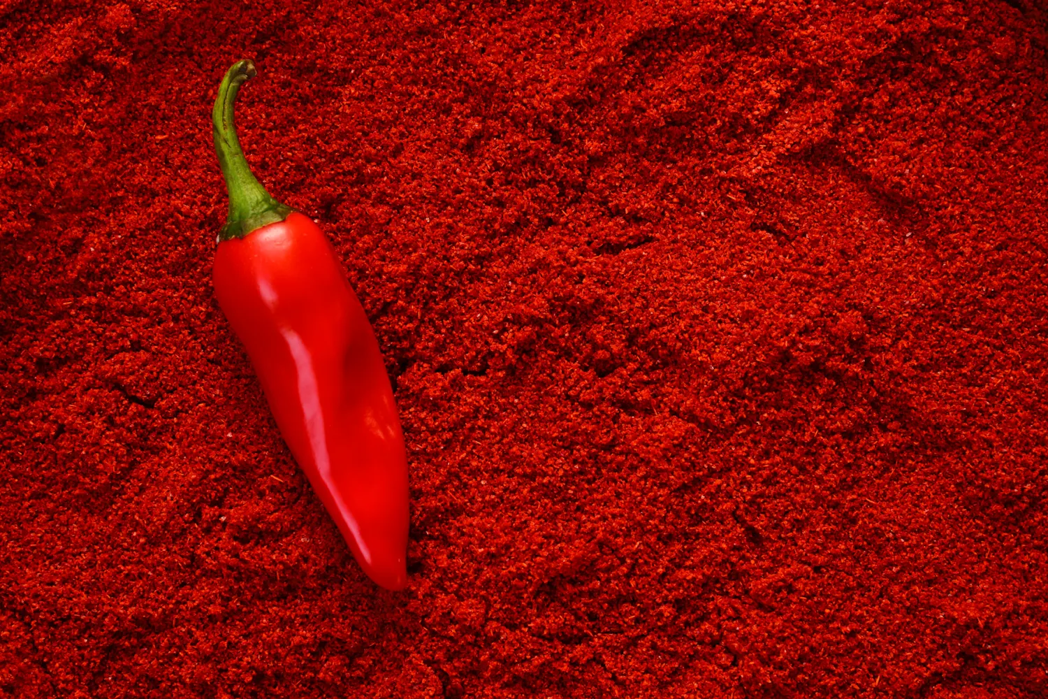 Piment et longévité : manger épicé permet-il de vivre plus longtemps ?