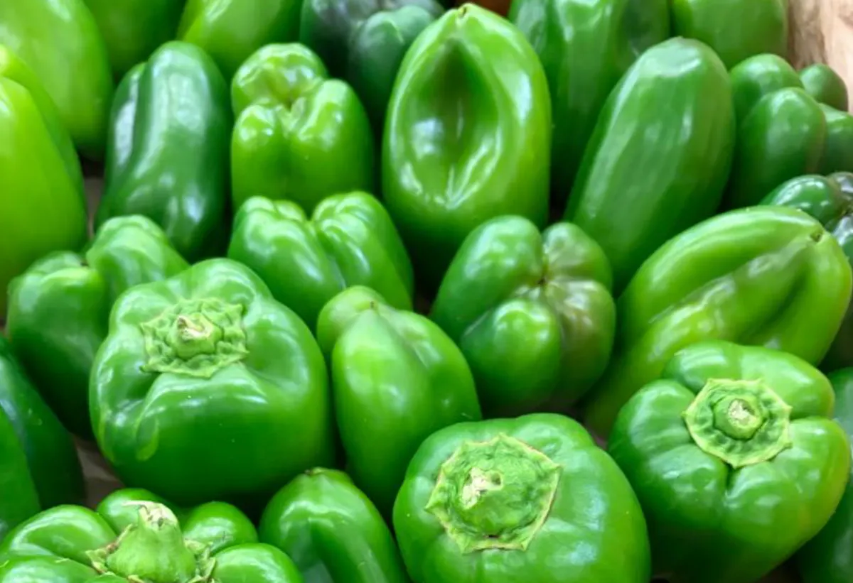 Des rappels produits pour excès de pesticides : plusieurs légumes de plusieurs enseignes sont concernés