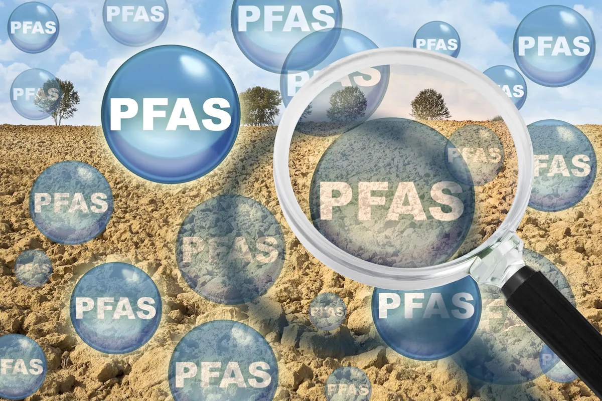 Comment limiter l'ingestion des Pfas ?