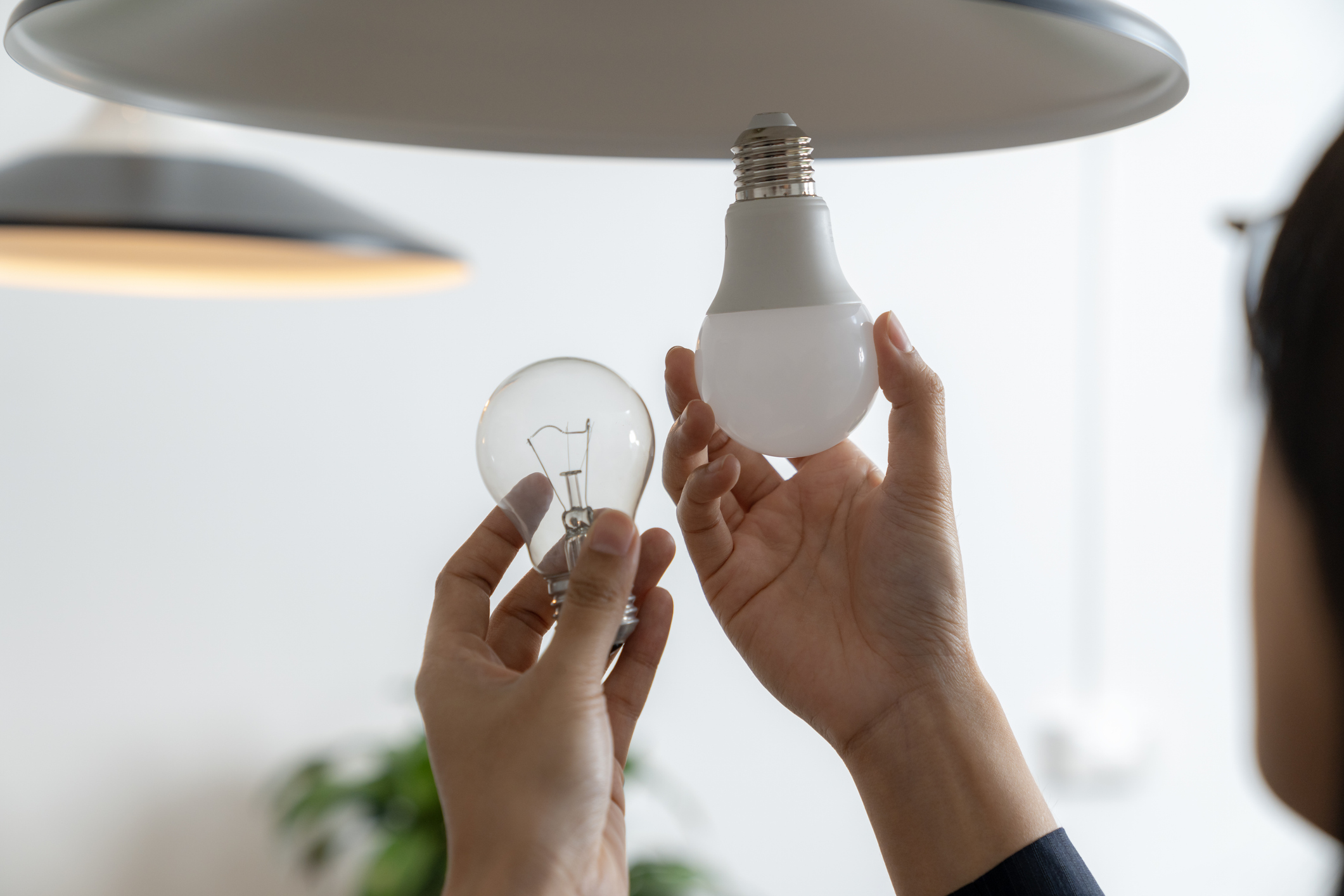 Nos lampes LED, un “nouvel amiante” : des neuroscientifiques s’inquiètent de ce type d’éclairage dans nos intérieurs