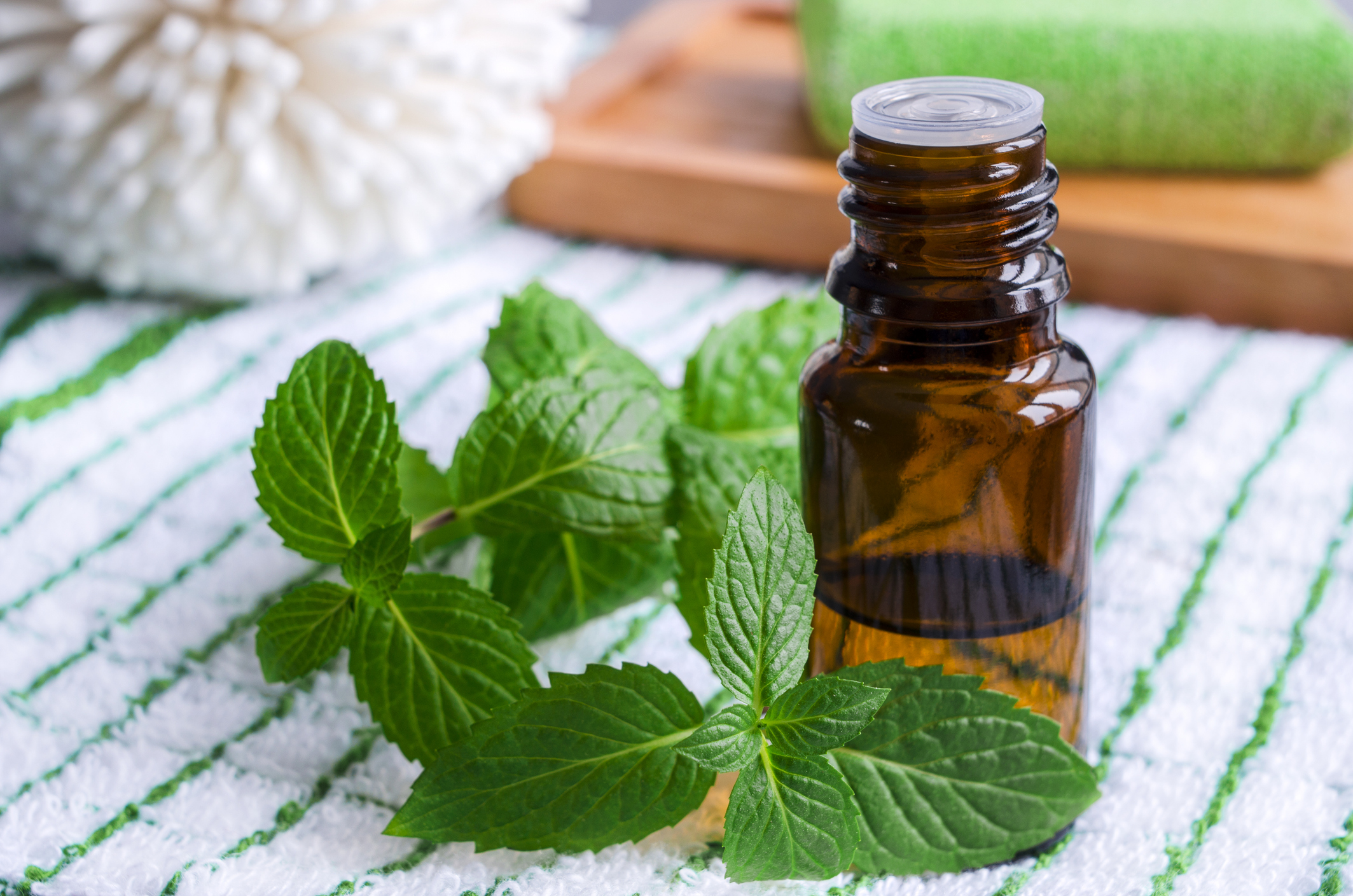Quelles sont les plantes qui aident à calmer la douleur ?