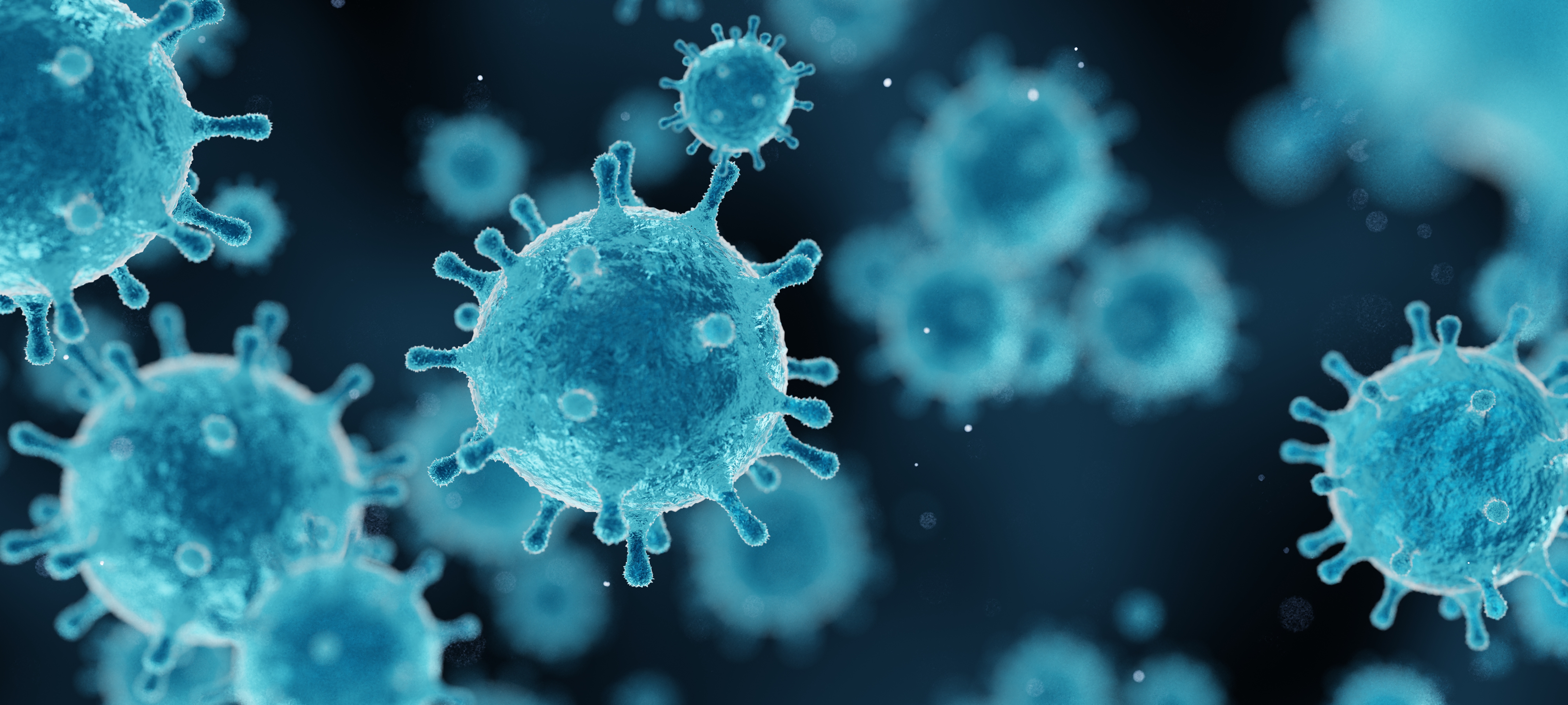 First Human Case of Shamonda Virus Detected in France