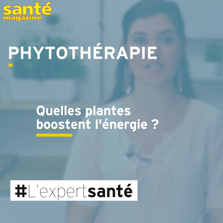 Quelles plantes pour retrouver de l'énergie ? Réponse en vidéo 